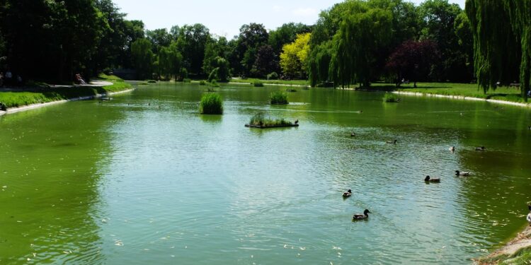 Kielce. Park Miejski im. Stanisława Staszica. Staw / Fot. Jarosław Kubalski - Radio Kielce