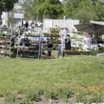 3.05.2024. Kielce. Ogród Botaniczny / Fot. Jarosław Kubalski – Radio Kielce