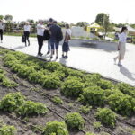 3.05.2024. Kielce. Ogród Botaniczny / Fot. Jarosław Kubalski – Radio Kielce