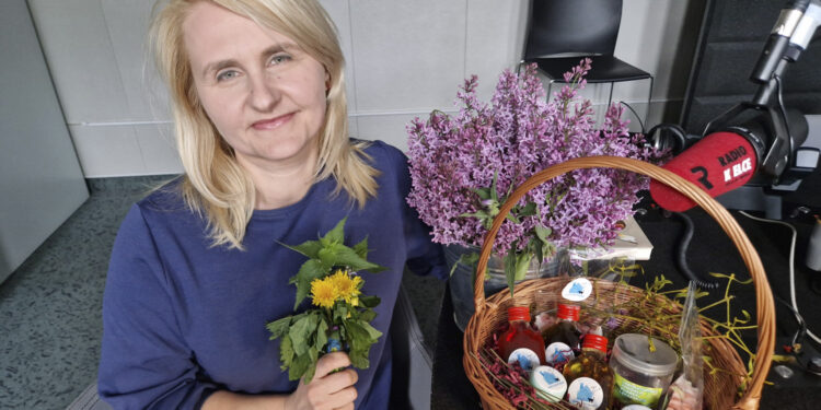 Pokrzywa na detoks i do kuchni - Radio Kielce
