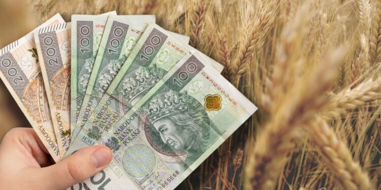 Ruszyła linia kredytowa S - Radio Kielce