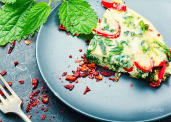 Omlet z podagrycznikiem i pokrzywą - Radio Kielce