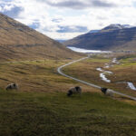 Wyspy Owcze / Fot. Kuba Witek