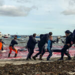 Wyspy Owcze / Fot. Kuba Witek