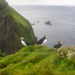 Wyspy Owcze / Fot. Kuba Witek