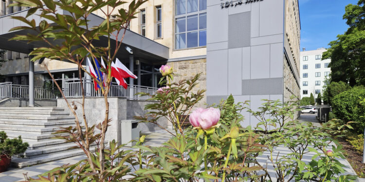 Piwonie rozpoczynają kwitnienie. Urodą zachwyca nasza piwonia drzewiasta - Radio Kielce