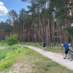 Sielpia. Zalew / Fot. Magdalena Galas-Klusek – Radio Kielce