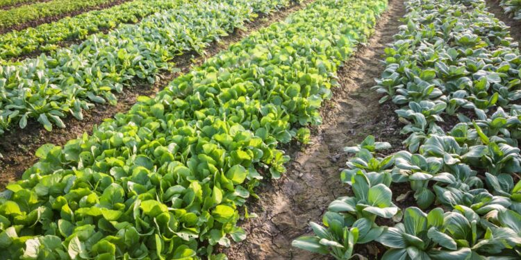 xr:d:DAFfPLzBGDQ:1653,j:424877859797077513,t:23122709