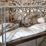 Muzyczne podróże po Europie. Portugalia / Fot. Danuta Rasała