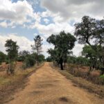 Muzyczne podróże po Europie. Portugalia / Fot. Danuta Rasała