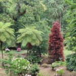 Muzyczne podróże po Europie. Portugalia / Fot. Danuta Rasała