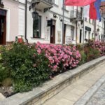 Sandomierz w kompozycjach kwiatów letnich