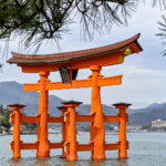 Muzyczne podróże. Japonia / Fot. Mirosław Lubarski