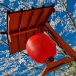 Muzyczne podróże. Japonia / Fot. Mirosław Lubarski