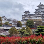 Muzyczne podróże. Japonia / Fot. Mirosław Lubarski