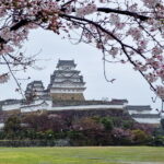 Muzyczne podróże. Japonia / Fot. Mirosław Lubarski