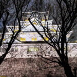 Muzyczne podróże. Japonia / Fot. Mirosław Lubarski