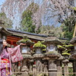 Muzyczne podróże. Japonia / Fot. Mirosław Lubarski