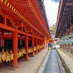 Muzyczne podróże. Japonia / Fot. Mirosław Lubarski