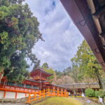 Muzyczne podróże. Japonia / Fot. Mirosław Lubarski