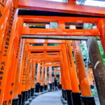 Muzyczne podróże. Japonia / Fot. Mirosław Lubarski