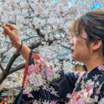 Muzyczne podróże. Japonia / Fot. Mirosław Lubarski