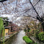 Muzyczne podróże. Japonia / Fot. Mirosław Lubarski