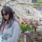 Muzyczne podróże. Japonia / Fot. Mirosław Lubarski