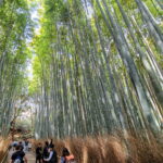 Muzyczne podróże. Japonia / Fot. Mirosław Lubarski