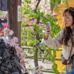 Muzyczne podróże. Japonia / Fot. Mirosław Lubarski