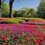 Muzyczne podróże. Japonia / Fot. Mirosław Lubarski