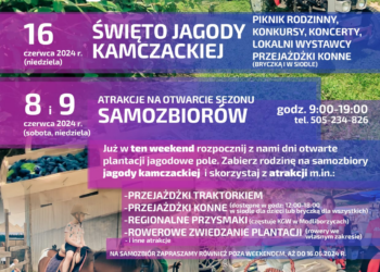 Dni otwarte na plantacji jagodowe pole - Radio Kielce