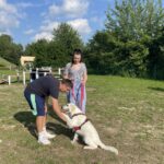 Sandomierskie psy mają swój pierwszy wybieg - Radio Kielce 03.06.2024. Sandomierz. Wybieg dla psów / Fot. Grażyna Szlęzak - Radio Kielce