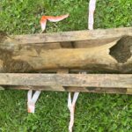 Fot. Gmina Gdów - Facebook