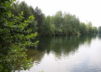 03.06.2024. Suków. Zbiornik wodny / Fot. Wiktor Taszłow - Radio Kielce