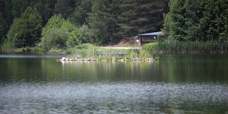 03.06.2024. Suków. Zbiornik wodny / Fot. Wiktor Taszłow - Radio Kielce