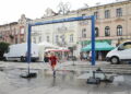 Kutyny wodne powróciły do centrum Kielc