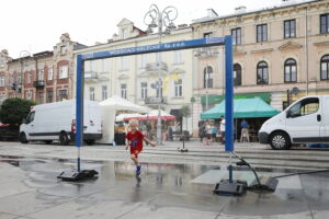 Kutyny wodne powróciły do centrum Kielc