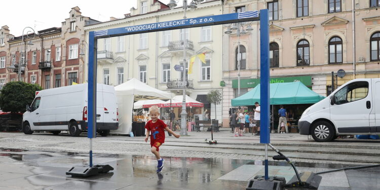 Kutyny wodne powróciły do centrum Kielc