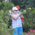 23.06.2024. Kielce. Ogród Botaniczny. Święto Róż / Fot. Wiktor Taszłow - Radio Kielce