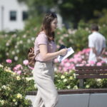 23.06.2024. Kielce. Ogród Botaniczny. Święto Róż / Fot. Wiktor Taszłow - Radio Kielce