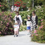 23.06.2024. Kielce. Ogród Botaniczny. Święto Róż / Fot. Wiktor Taszłow - Radio Kielce