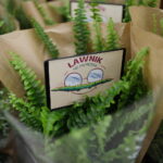 24.06.2024. Kielce. Akcja informacyjno-promocyjna Ministerstwa Sprawiedliwości poświęcona roli ławników w sprawowaniu wymiaru sprawiedliwości / Fot. Wiktor Taszłow – Radio Kielce