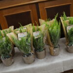 24.06.2024. Kielce. Akcja informacyjno-promocyjna Ministerstwa Sprawiedliwości poświęcona roli ławników w sprawowaniu wymiaru sprawiedliwości / Fot. Wiktor Taszłow – Radio Kielce