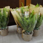 24.06.2024. Kielce. Akcja informacyjno-promocyjna Ministerstwa Sprawiedliwości poświęcona roli ławników w sprawowaniu wymiaru sprawiedliwości / Fot. Wiktor Taszłow – Radio Kielce