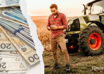 Wkrótce premie dla młodych rolników - Radio Kielce
