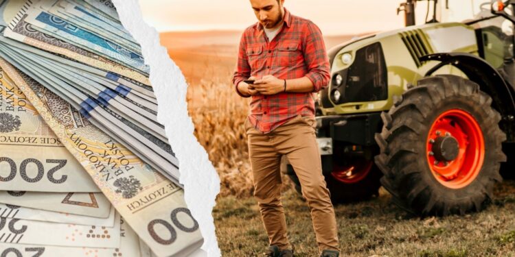 Wkrótce premie dla młodych rolników - Radio Kielce