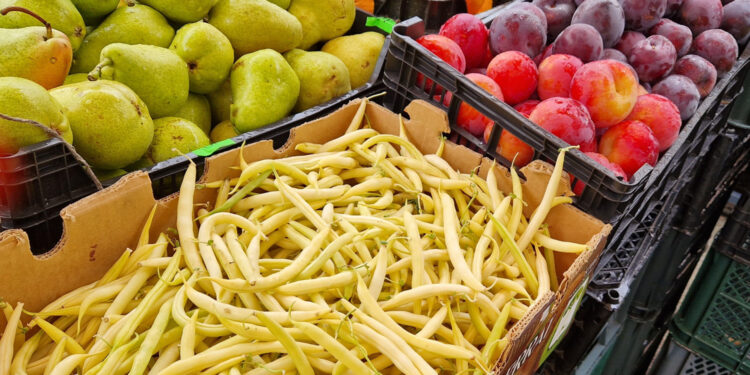 Wkrótce ruszy wsparcie dla producentów owoców i warzyw - Radio Kielce