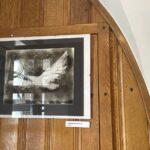 29.06.2024. Sandomierz. Prace artystów ze stowarzyszenia Emocjonaliści z Warszawy w Muzeum Historii Polskiego Ruchu Ludowego / Fot. Grażyna Szlęzak - Radio Kielce