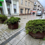 04.06.2024. Kielce. Ulica Sienkiewicza. Doniczki / Fot. Wiktor Taszłow - Radio Kielce